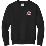 Metro Jr. Jets Youth Core Fleece Crewneck Sweatshirt